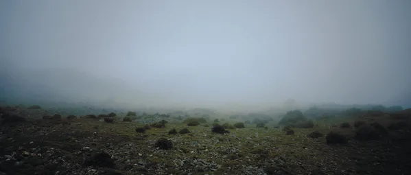 Mist in the mountain thumbnail