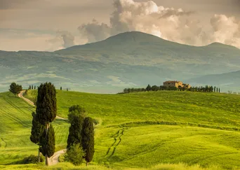 Trails of Italy: Walking the Vineyards & Villages of Tuscany & Piedmont description