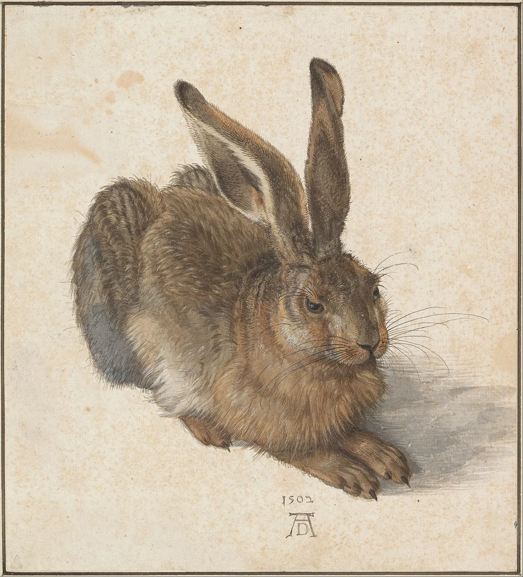 Albrecht Dürer, Young Hare​​​​​​​, 1502