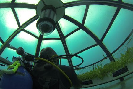 Checking the plants in Nemo's Garden