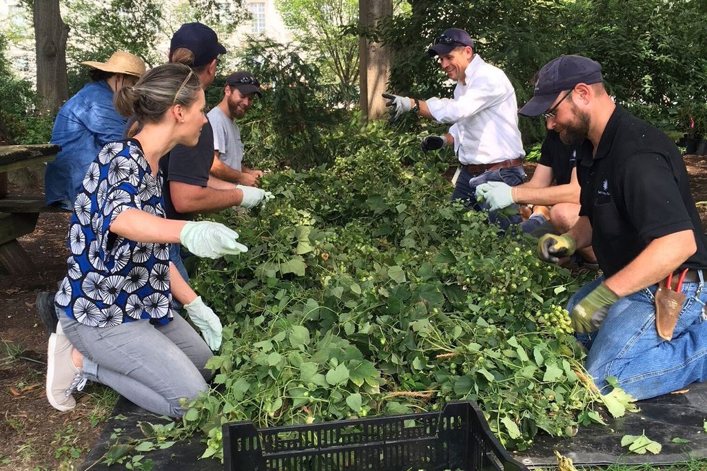 people around a table of hops
