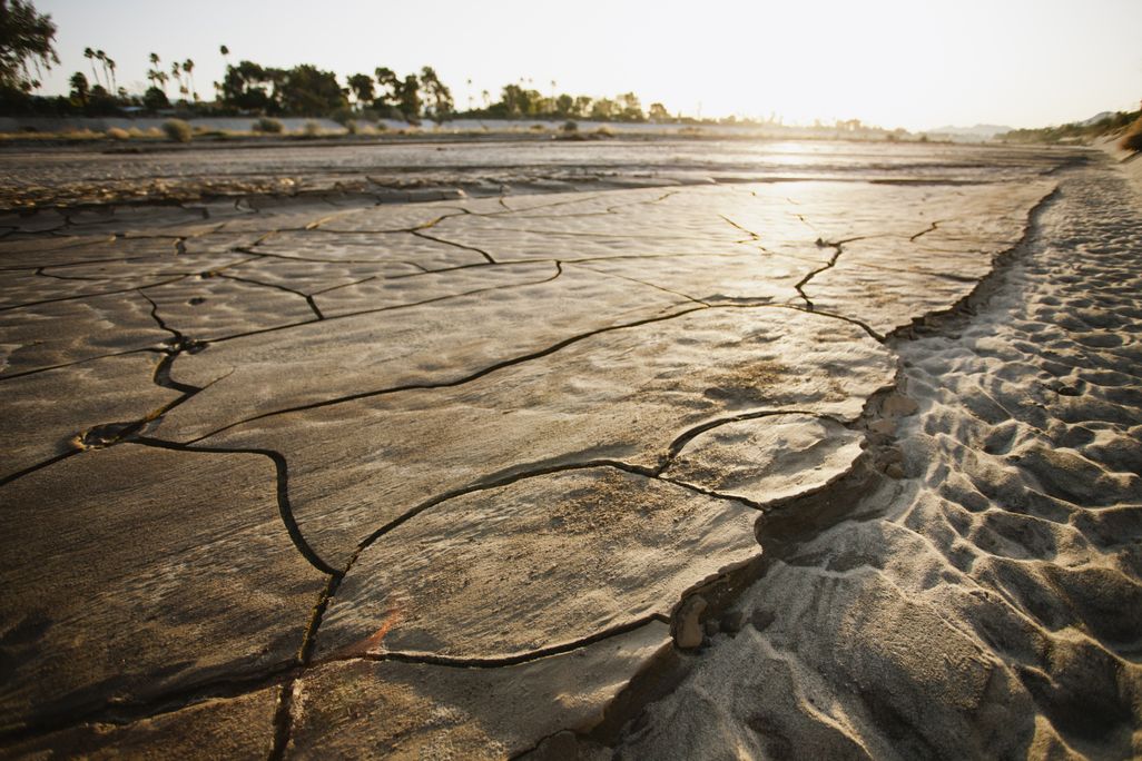 Drought