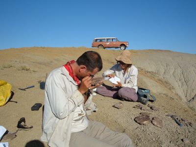 “I hope people of the future will look back on us and see that we learned the lessons of deep time,” says Smithsonian paleontologist Scott Wing.