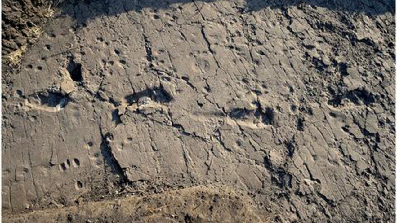 footprints.jpg