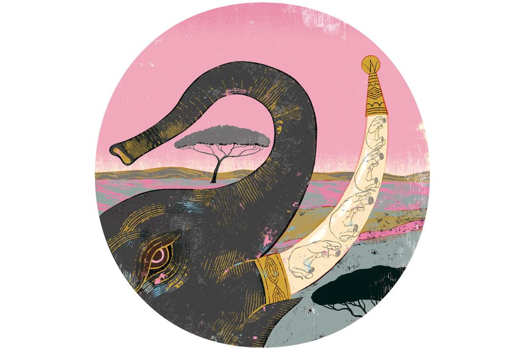 Illustration of elephant and tusks