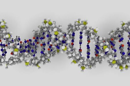 A DNA molecule