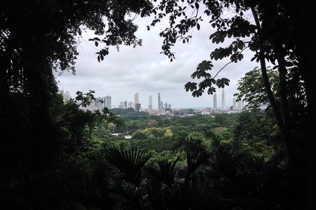 Ciudad_Panama.JPG