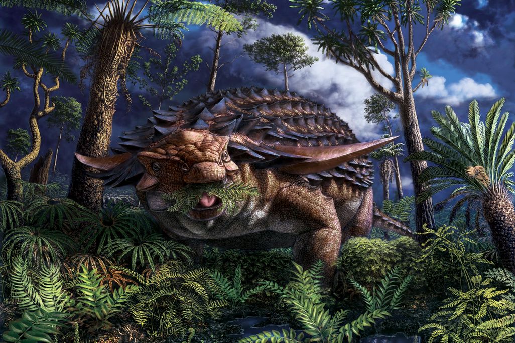 Borealopelta markmitchelli
