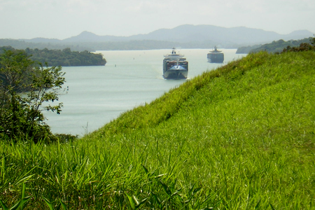 Many terrestrial birds disappeared in Barro Colorado Island, in the Panama Canal, despite their abundance in adjacent mainland forests, because they could not cross Gatun Lake to maintain populations on the island.
