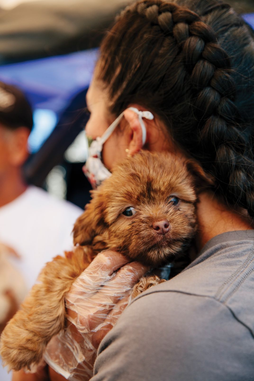 The Veterinarian Brings His Healing Presence To Pets Of The Unhoused