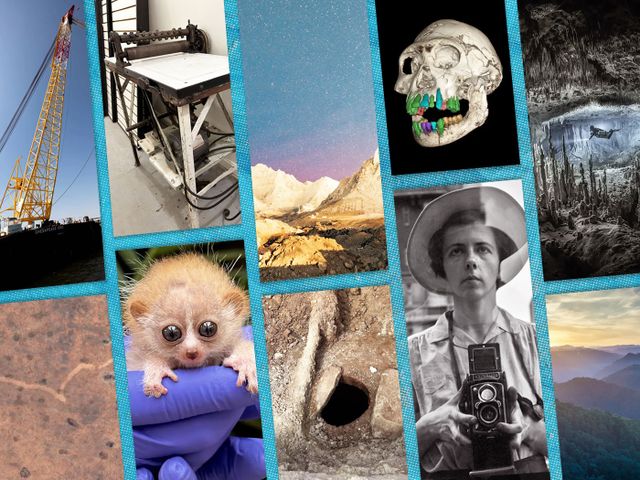 Our most-read stories of the year featured photographer Vivian Maier, underwater caves in the Yucat&aacute;n Peninsula, auroras and more.