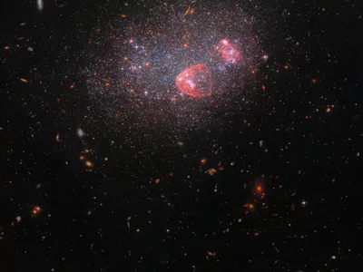 Data from the Hubble Space Telescope produced this new image of the galaxy UGC 8091.

