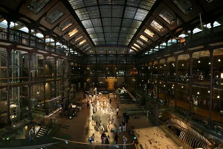 Grand Gallery of Evolution in the National Museum of Natural History in Paris, France
