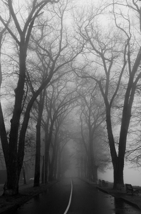 Foggy road in Narach thumbnail