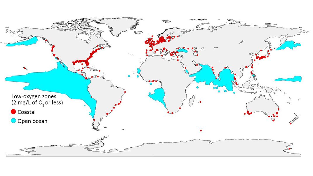 Why Our Oceans Are Starting to Suffocate