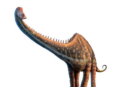 Did Diplodocus walk with a spring in its neck?