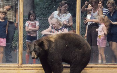 The original Smokey Bear at the Zoo