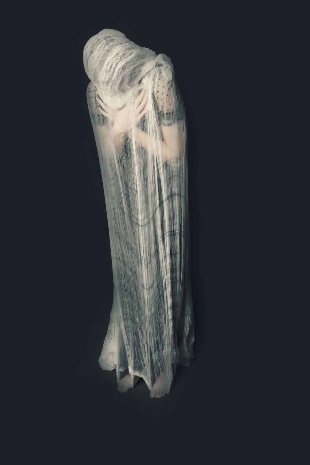 Caught in a Trap Smithsonian Photo Contest Smithsonian Magazine