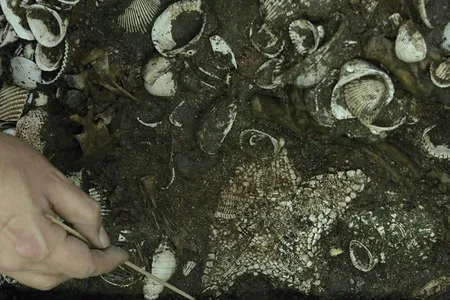 The offering consisted of 164 starfish, chunks of coral, seashells, pufferfish, a resin figurine, animal bones and the skeleton of a female jaguar holding a spear in its claw.