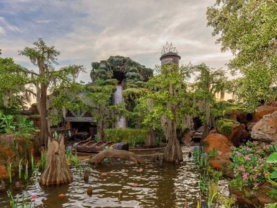 Tiana&#39;s Bayou Adventure is now open to the public.