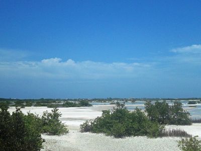 Chicxulub, Mexico, as it looks today.  Sixty-six million years ago, this was ground zero.