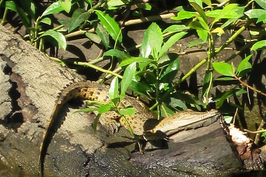 20110520102351IMG_0528.JPG