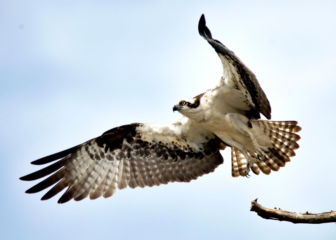 Why Florida’s Lower Suwannee Is an Outdoor Lover's Paradise