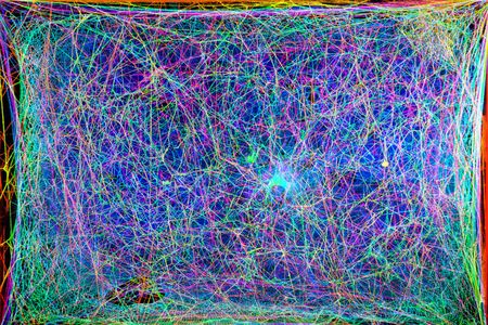 Researchers took cross sectional scans of a spider web with a laser to make this 3D image of its structure that they eventually translated into music.
