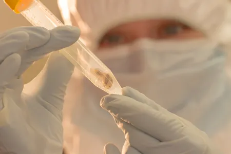 A scientist examines a 1500-year-old tooth from a Justinian plague victim in the lab.
