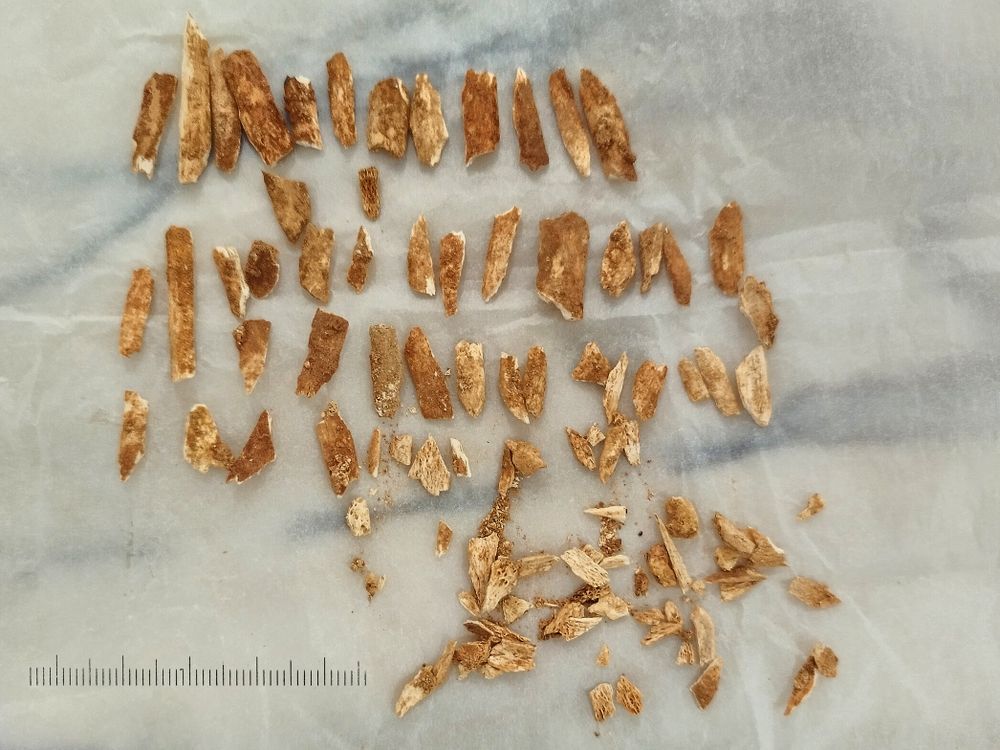 Fragments of bones