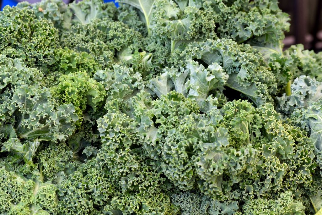 kale vom.jpg