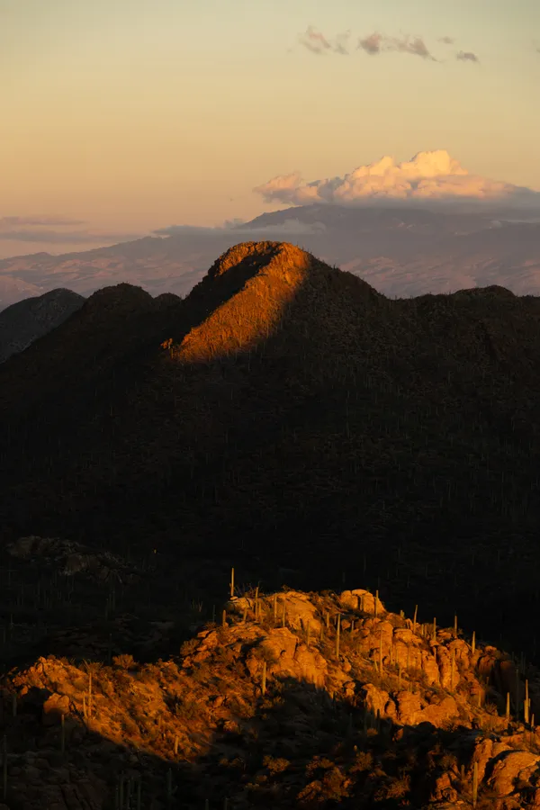 Cacti Peaks thumbnail