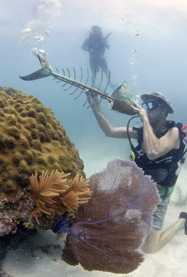 This Florida Music Festival Takes Place Completely Underwater