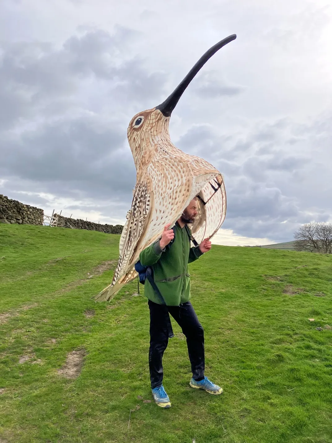 Man wearing a giant bird costume standing on green grass