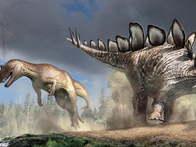 Stegosaurus and Ceratosaurus are among one of the most successful groups ever to have evolved.