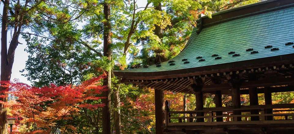  Autumn leaves surround Okuboji, temple 88 on the Shikoku pilgrimage trail. 