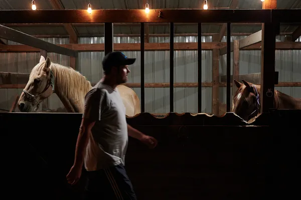 Joe Carr, 32, walks past Midas (left) and towards Firecracker (right). thumbnail