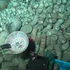 Archaeologists Recover 900 Artifacts From Ming Dynasty Shipwrecks in South China Sea icon