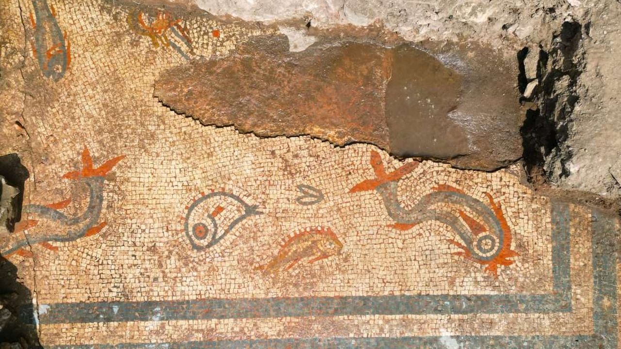 mosaic2-scaled.jpg