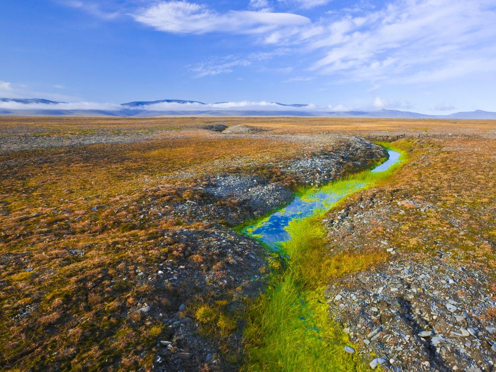 Siberian Permafrost