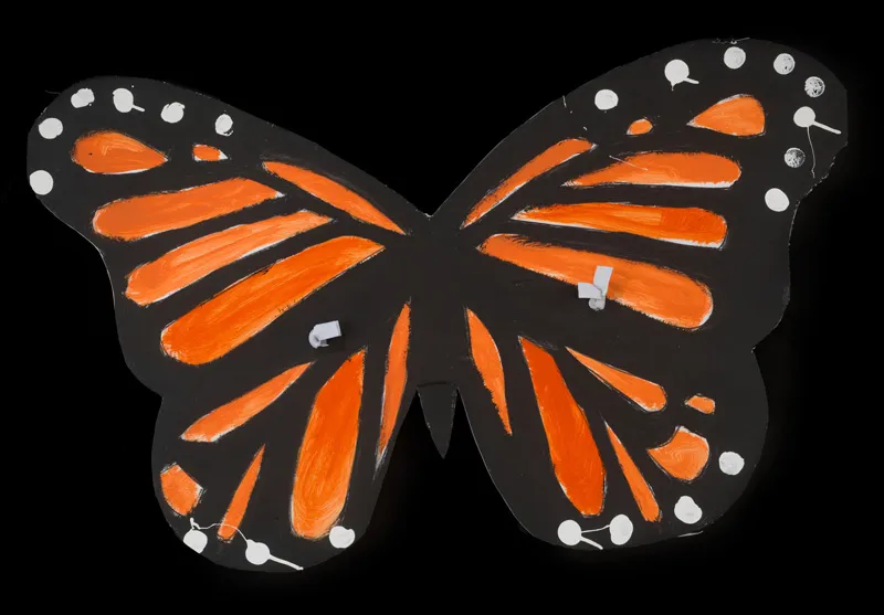 Costume butterfly wings painted to resemble the pattern of monarch butterflies