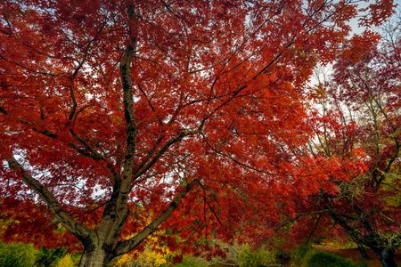 (moisseyev/iStock/Thinkstock) 