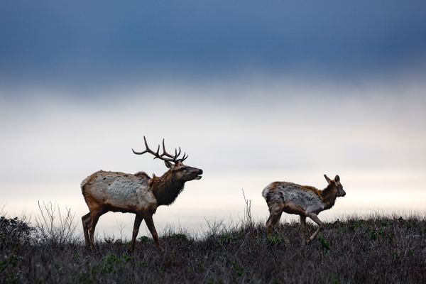 On the Move thumbnail