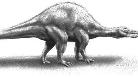 A hump-backed Spinosaurus, restored by R.E. Johnson and from Bailey 1997.