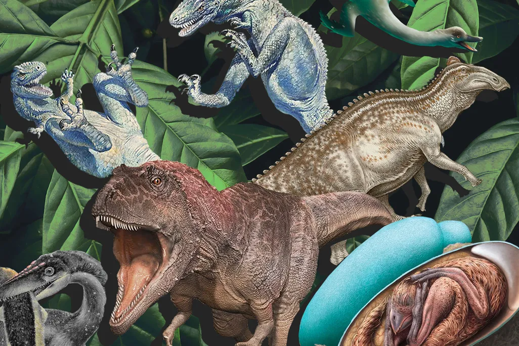 Dinosaur Collage
