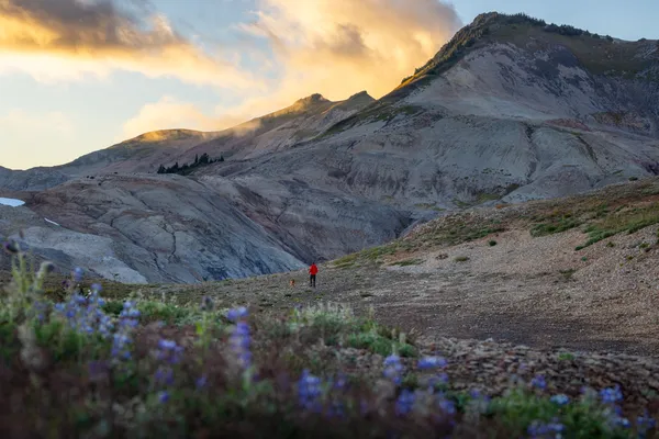 A hiker and his dog exploring the backcountry of Mount Baker Wilderness thumbnail