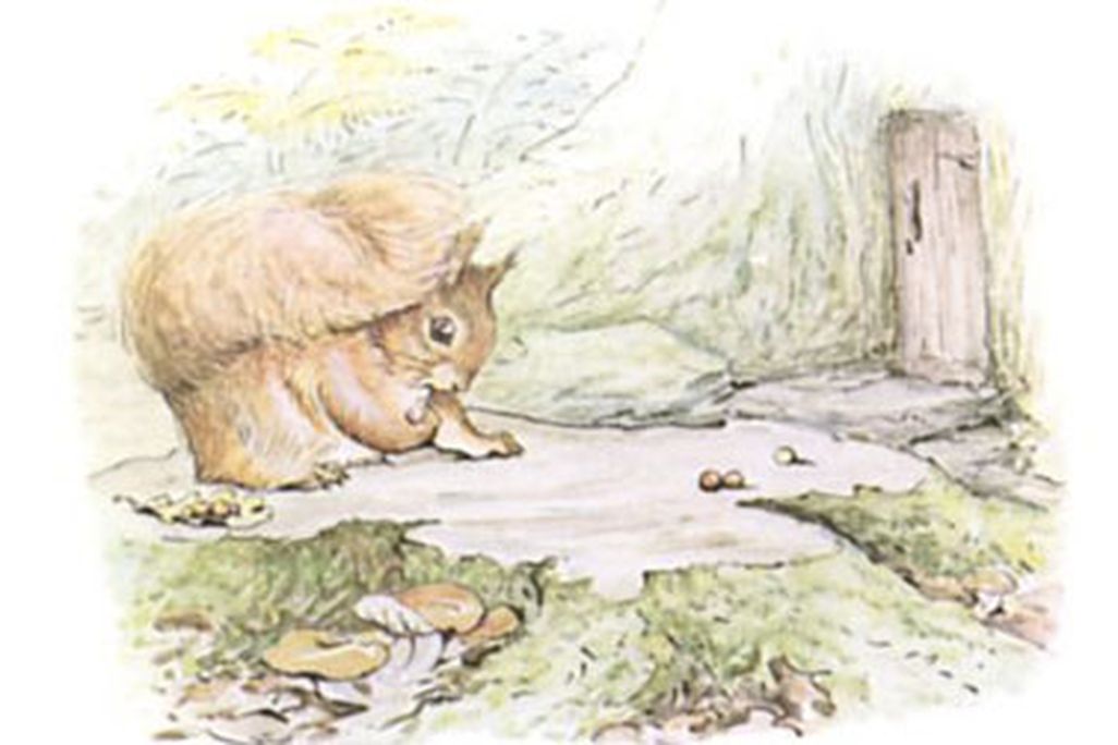 20120206115024beatrix-potter-illustration.jpg