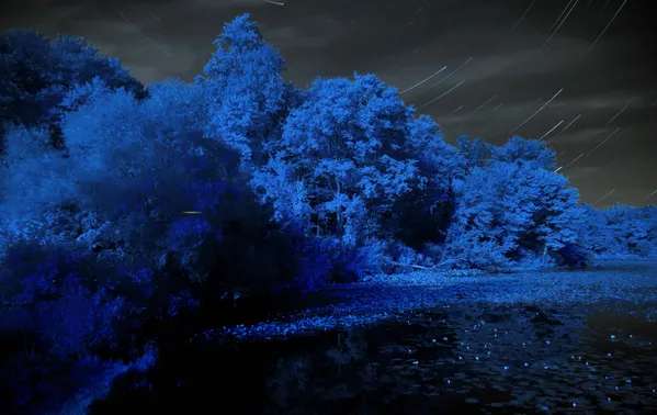 Infrared star trails in moonlight thumbnail