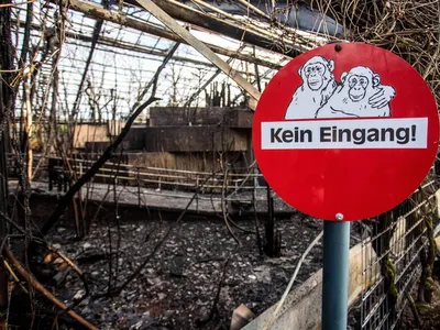 A sign reading "No Entrance!" is seen at the burned-out monkey house of the zoo in Krefeld, western Germany, on January 1, 2020.