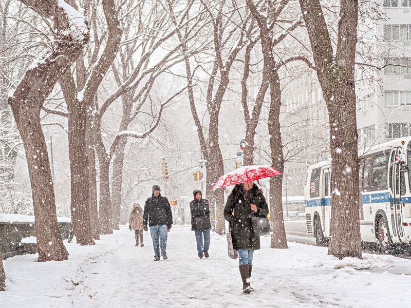 Fifth Avenue Snowfall, New York, NY Smithsonian Photo Contest